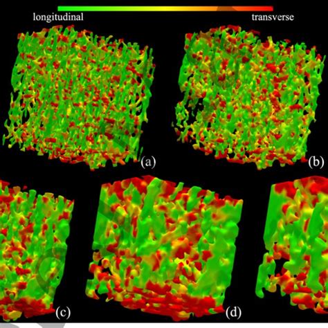 Trabecular bone micro-structure on matching slices from post-registered ...