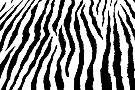 Zebra Stripes Background Wallpaper Free Stock Photo - Public Domain ...