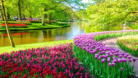 Keukenhof: o jardim de tulipas mais bonito da Holanda - Vou na JanelaVou na Janela | Blog de viagens