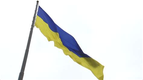 Ukraine Flag