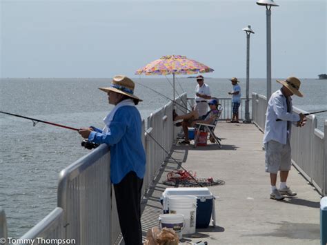 Don’t have a boat? Give Cedar Key’s fishing pier a try! - Visit Natural North Florida