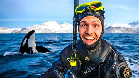 Swimming with Wild Orcas in Norway (incredible encounters) - YouTube