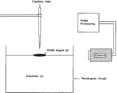 Experimental setup. | Download Scientific Diagram