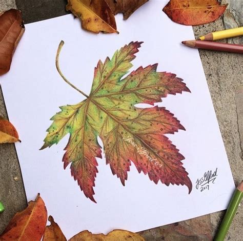 Autumn leaf coloured pencil drawing by Jess Elford ...