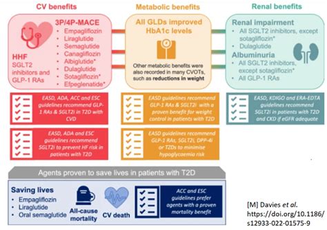 Novel Cardioprotective Antidiabetic Medications