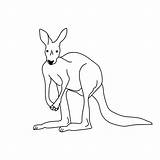 Outline kangaroo coloring Page With Cute Animal Australia Animals  sketch template