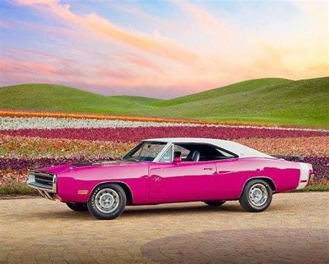 70 Dodge Charger in Panther Pink | Dodge muscle cars, Dodge charger ...