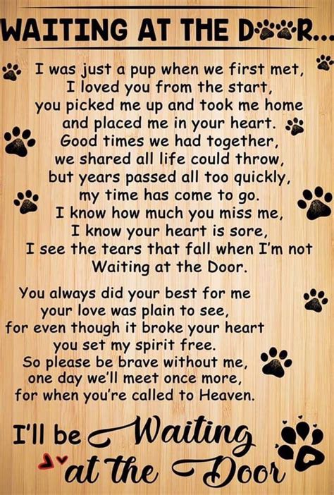 I Love Dogs, Puppy Love, Pet Loss Grief, Dog Loss Poem, Dog Loss Quotes ...