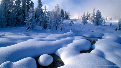 🔥 Download Webshots Yellowstone National Park In Winter Wyoming by @nstewart | Winter in ...