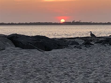 Island Beach State Park Surf Photo by Sue Mustac | 10:28 am 29 Sep 2019