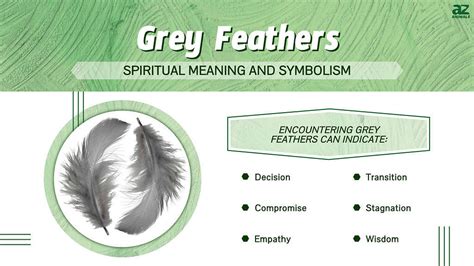 The Spiritual Meaning and Symbolism of Grey Feathers - A-Z Animals