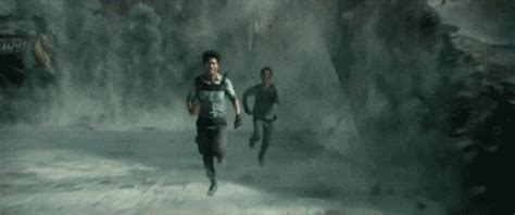 Run Fast GIF - Find & Share on GIPHY