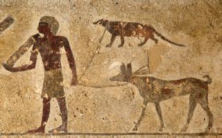 Tomb Drawing Shows Mongoose on a Leash, Puzzling Archaeologists | Live Science
