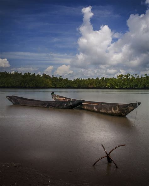 The Gambia River - Free photo on Pixabay - Pixabay