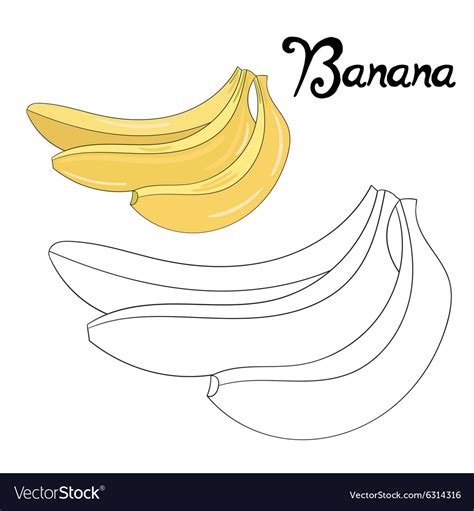 Educational game coloring book banana fruit Vector Image