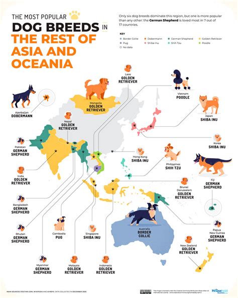 El mapa que muestra los perros más populares del mundo