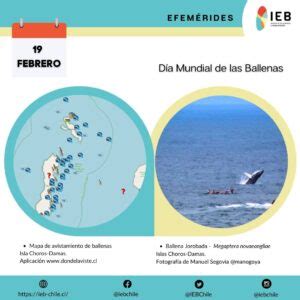 dia-mundial-de-la-ballena-efemerides-ieb-2 | Página V