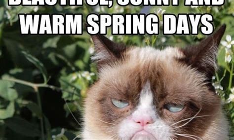 15 Funny Spring Memes To Get You Through These Chilly "Spring" Days