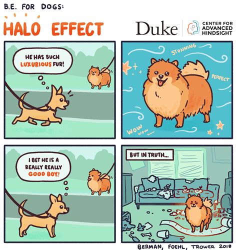 Halo effect acording to behavioral economics | Common cents lab