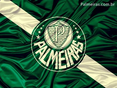 Palmeiras fotos (5 fotos) | Cifra Club