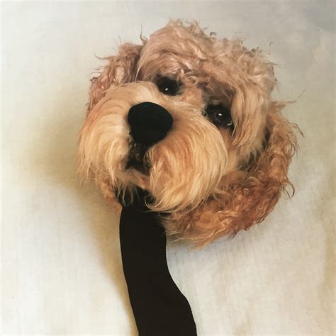 Custom Golf headcovers and puppets : Cavapoo-Custom made Golf headcover