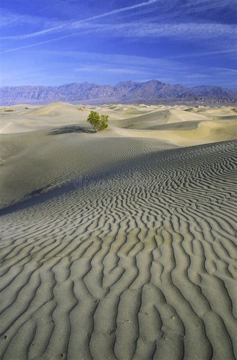 Sand Patterns on Desert Dunes Stock Image - Image of death, climate ...