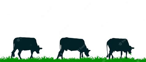 Premium Vector | Cow silhouette or cow grazing on the meadow and eating green grass vector ...