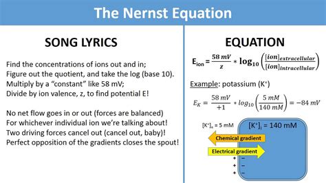 The Nernst Equation (science music video) - YouTube