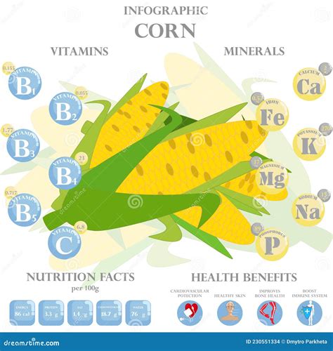 Corn Nutrition Facts and Health Benefits Infographic Stock Vector ...