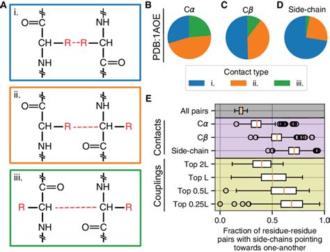 Different types of residue-residue interactions are possible. (A) Two... | Download Scientific ...