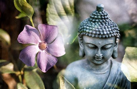 Royalty-Free photo: Gautama Buddha statue | PickPik