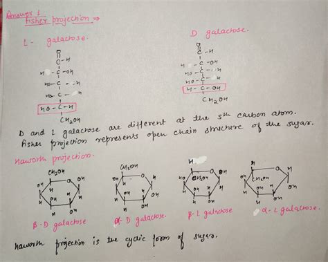 [Solved] 1. Draw the Fischer and Haworth projections for L- and D ...