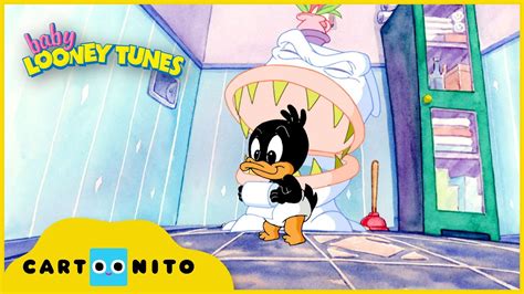 Baby Looney Tunes | Toilet Mystery | Cartoonito UK - YouTube