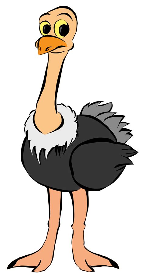 Emu Clipart at GetDrawings | Free download