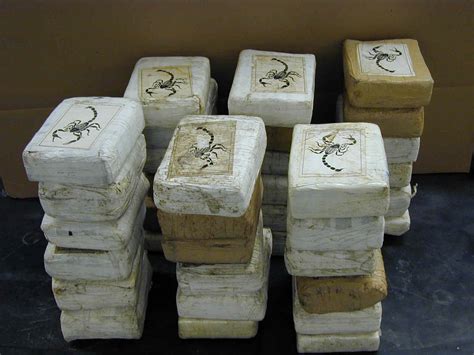 Record year for cocaine seizures in Belgium | The Bulletin