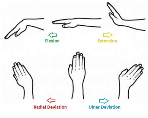 Defining Arm Movements — Dr. Golf Guru. Golf Blog