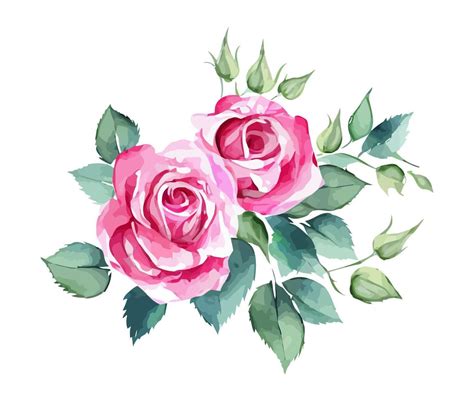 Pretty Pink Watercolor Roses 20437763 Vector Art at Vecteezy