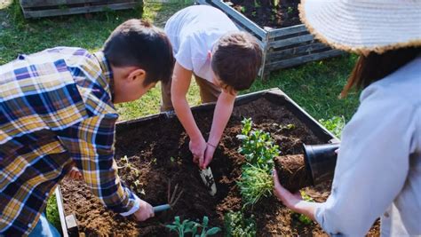 Fertigation for Optimal Garden Fertilization: Pros and Cons - Bonsai Nursery