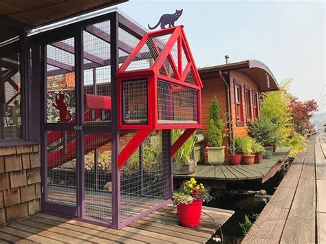 Pin by Benjamin Pogatshnik on catio ideas | Cat patio, Outdoor cat enclosure, Catio