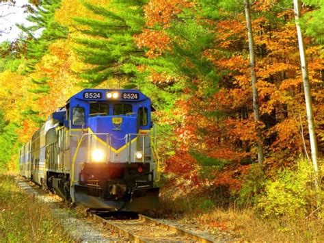 Take This Fall Foliage Train Ride Through Oregon For A One-Of-A-Kind Experience | Scenic train ...