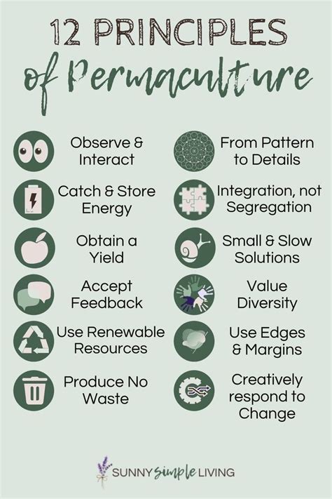 The 12 principles of permaculture | Permaculture, Simple living, Off ...