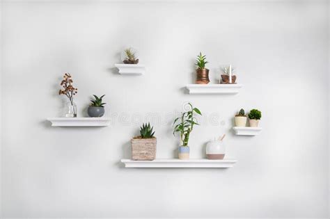 132 Home Office Background Shelves Plants Stock Photos - Free & Royalty-Free Stock Photos from ...