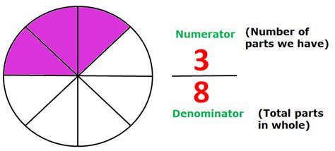 Numerator and Denominator - Definition & Examples - MathsMD