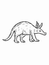Aardvark coloring Pages sketch template