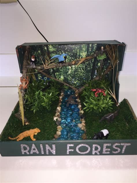 Rainforest Habitat Diorama | Ideen | Pinterest | Regenwälder, Schuhkarton und Bühnenbild