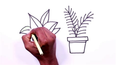 Simple Plant Outline