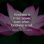 11 Beautiful Kindness Quotes To Brighten Your Day