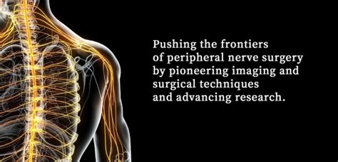 Division of Spine and Peripheral Nerve Surgery | Neurosurgery | Stanford Medicine