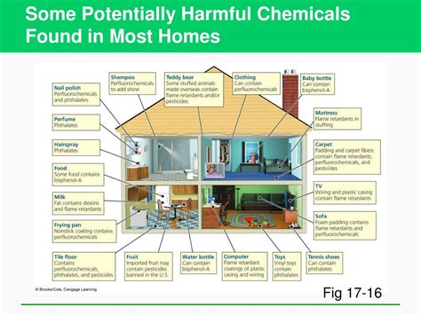 PPT - Environmental Hazards and Human Health PowerPoint Presentation ...