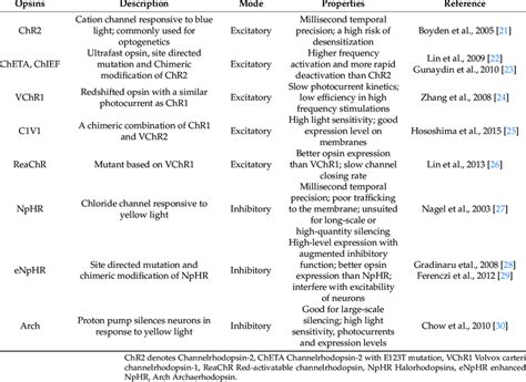 Commonly Used Optogenetic Tools. | Download Scientific Diagram